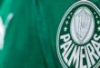 Além da taça: Palmeiras pode embolsar mais de R$ 170 milhões com a Libertadores