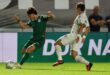 Jogadores do Santos contestam pênalti não marcado contra o Palmeiras; veja